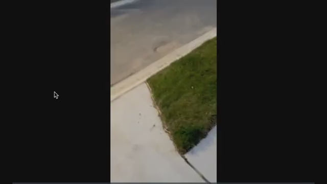 Load video: Customer riding scooter with dog