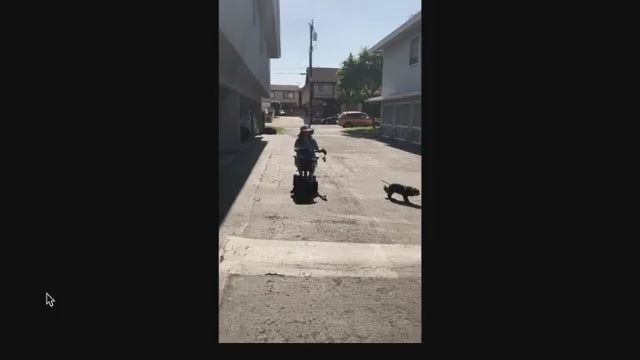 Load video: Customer riding scooter with dog